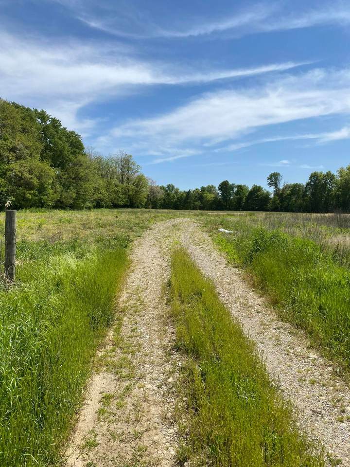 9215 Basil Western Road - Photo 1