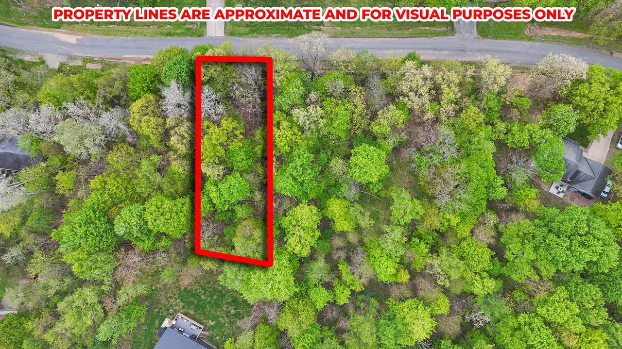 0-Lot 163 Daffodil Drive - Photo 1