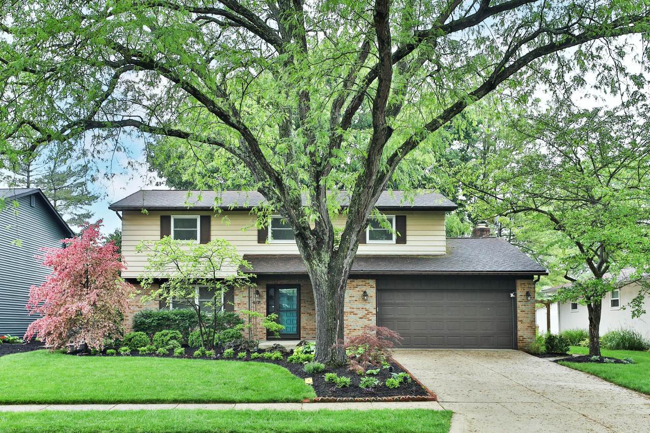 4875 Widner Street - Photo 1
