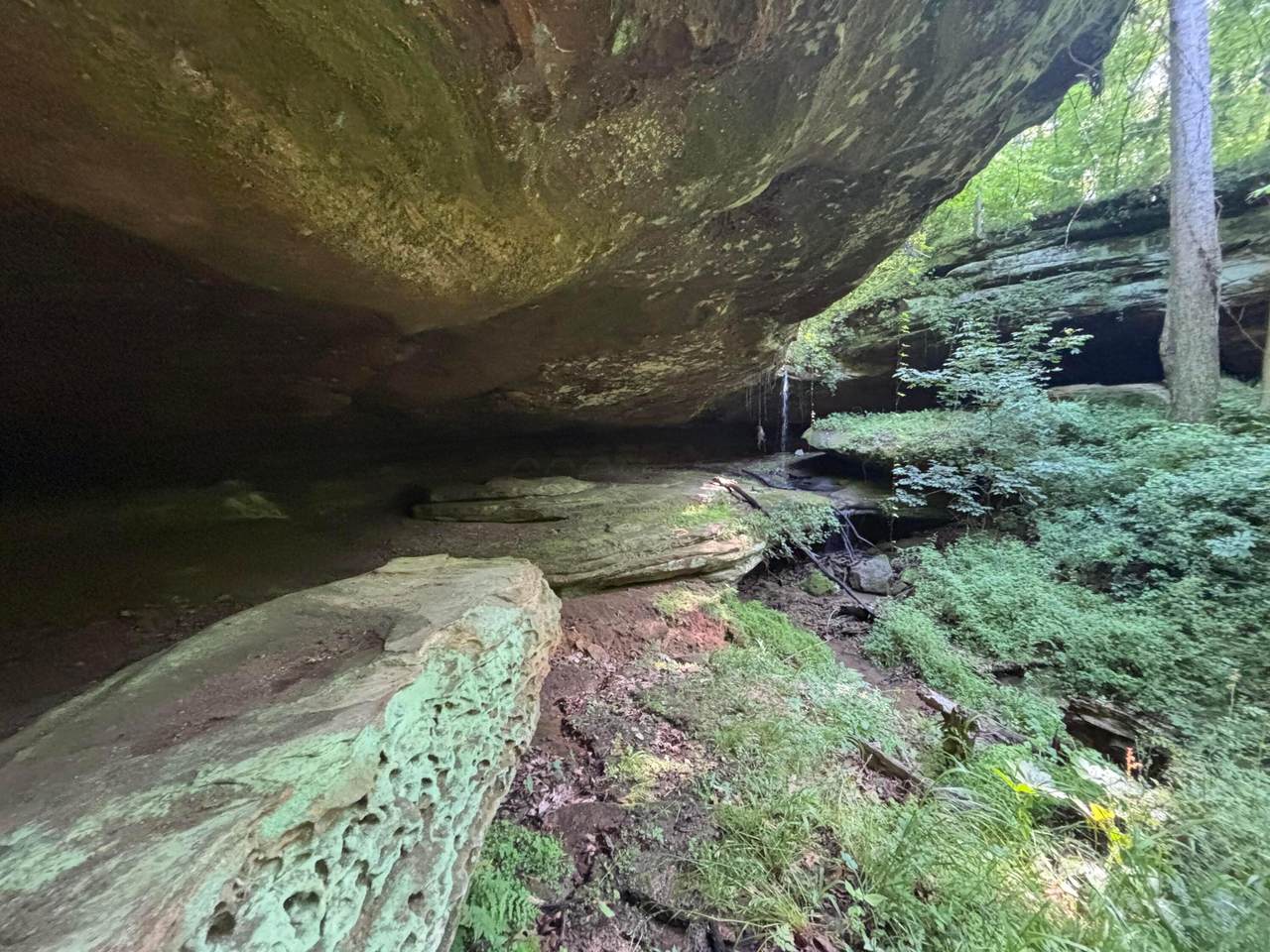 https://bt-photos.global.ssl.fastly.net/columbus/1280_boomver_1_226019302-2.jpg