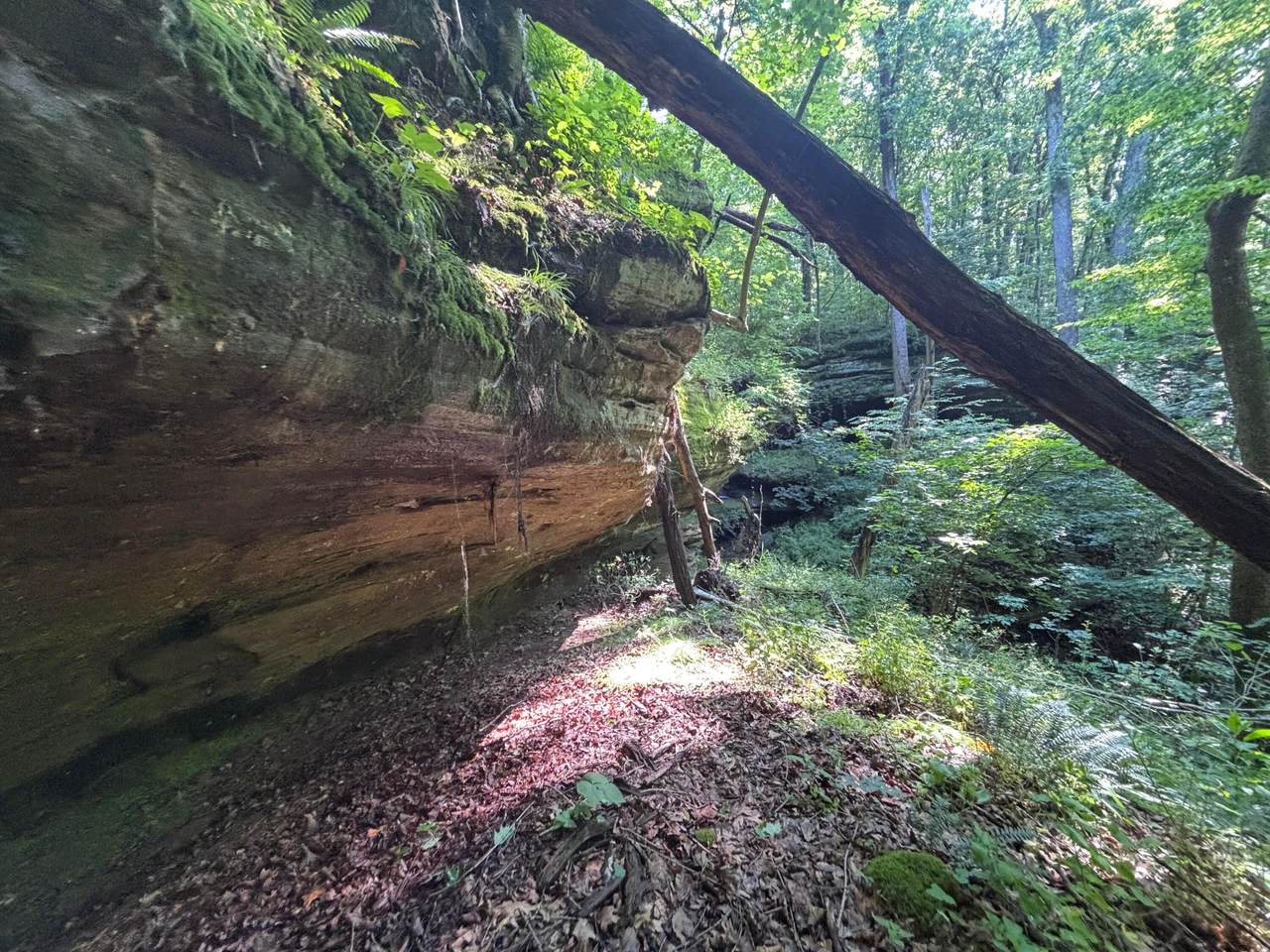 https://bt-photos.global.ssl.fastly.net/columbus/1280_boomver_1_226019302-2.jpg