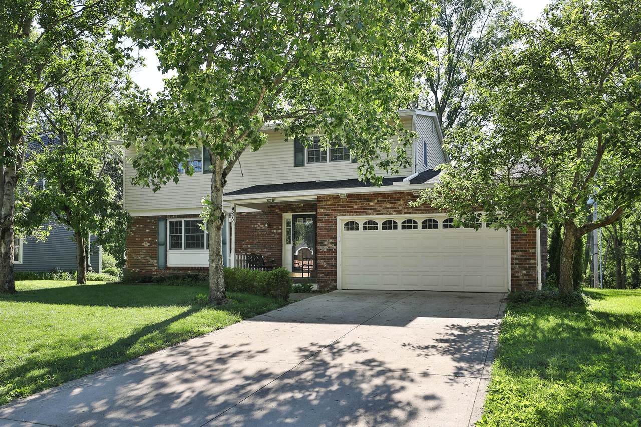 6579 Masefield Street - Photo 1