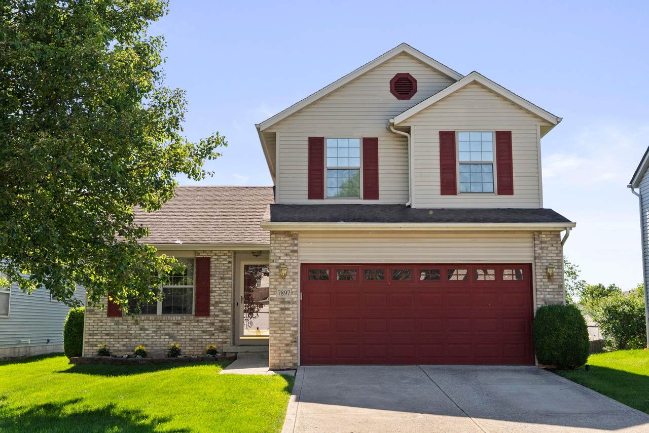 7897 Merdon Drive - Photo 1