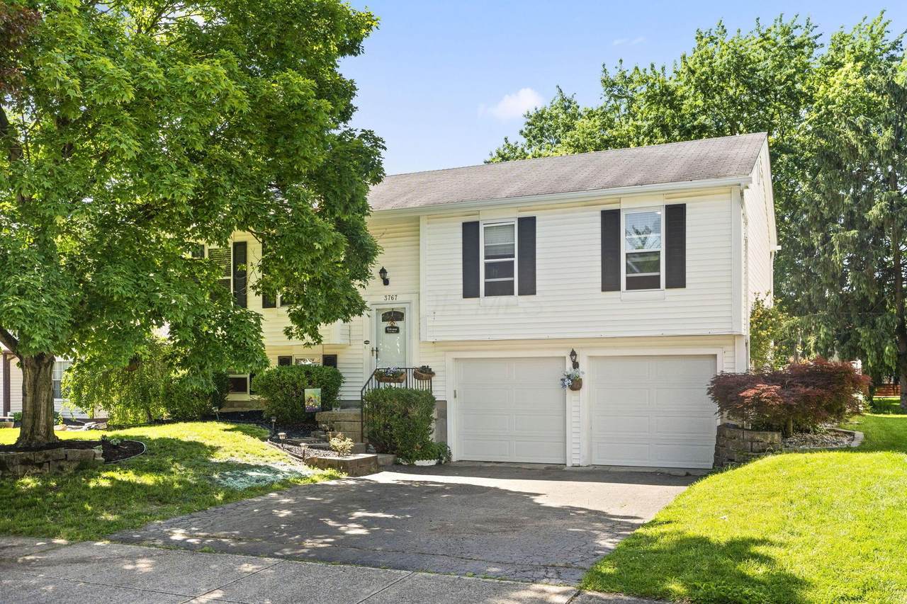 3767 Bridle Court - Photo 1