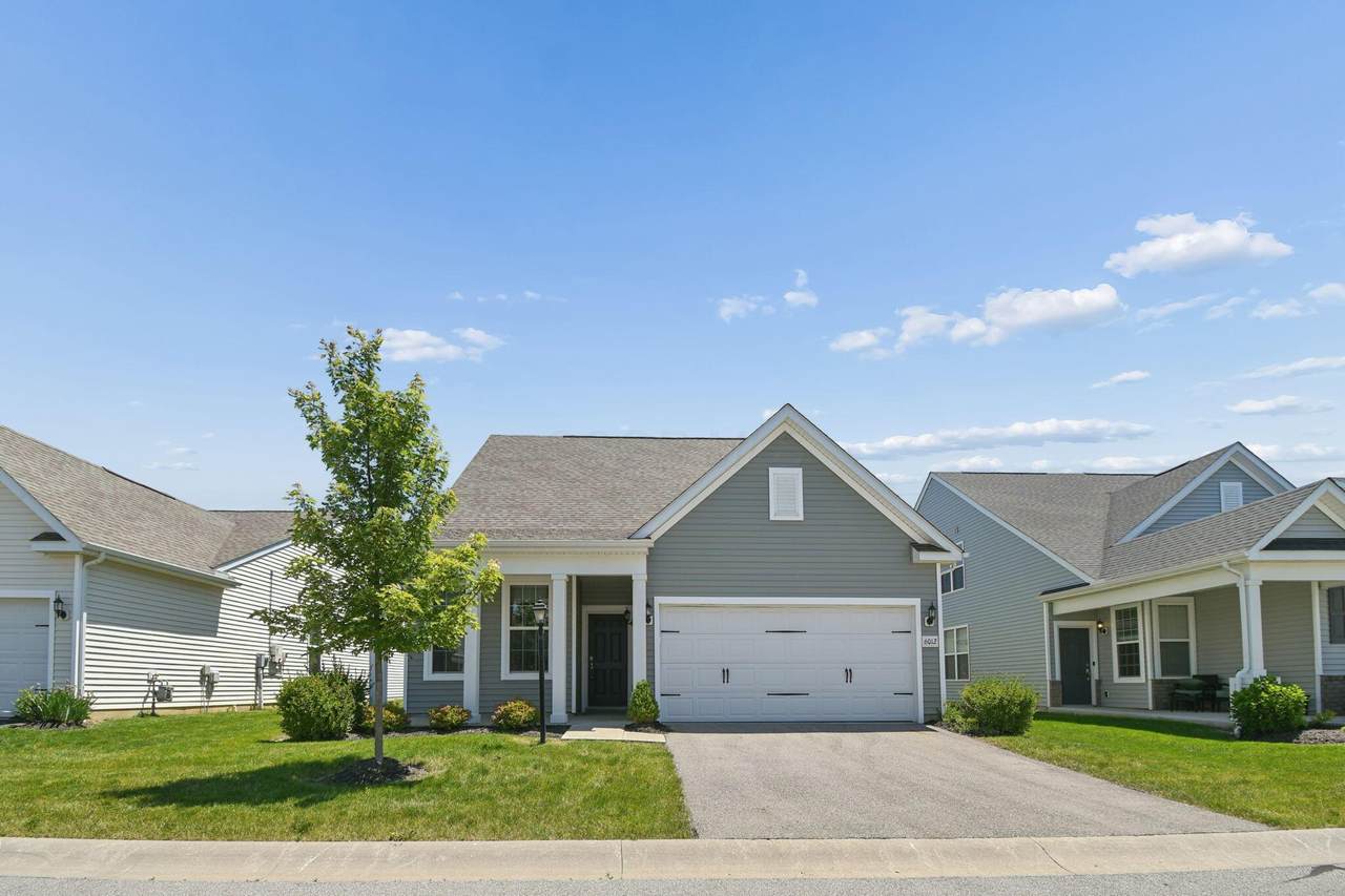 6012-18 Lawthorn Drive - Photo 1