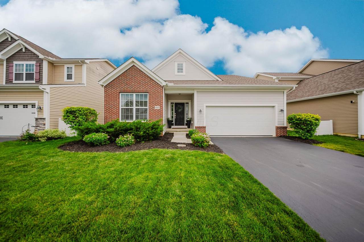 6847 Olde Dutch Road - Photo 1