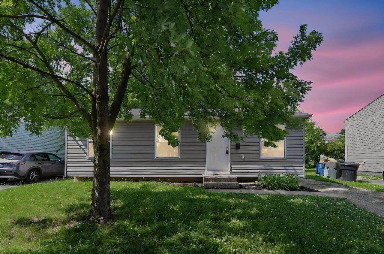 https://bt-photos.global.ssl.fastly.net/columbus/1280_boomver_1_226022829-2.jpg