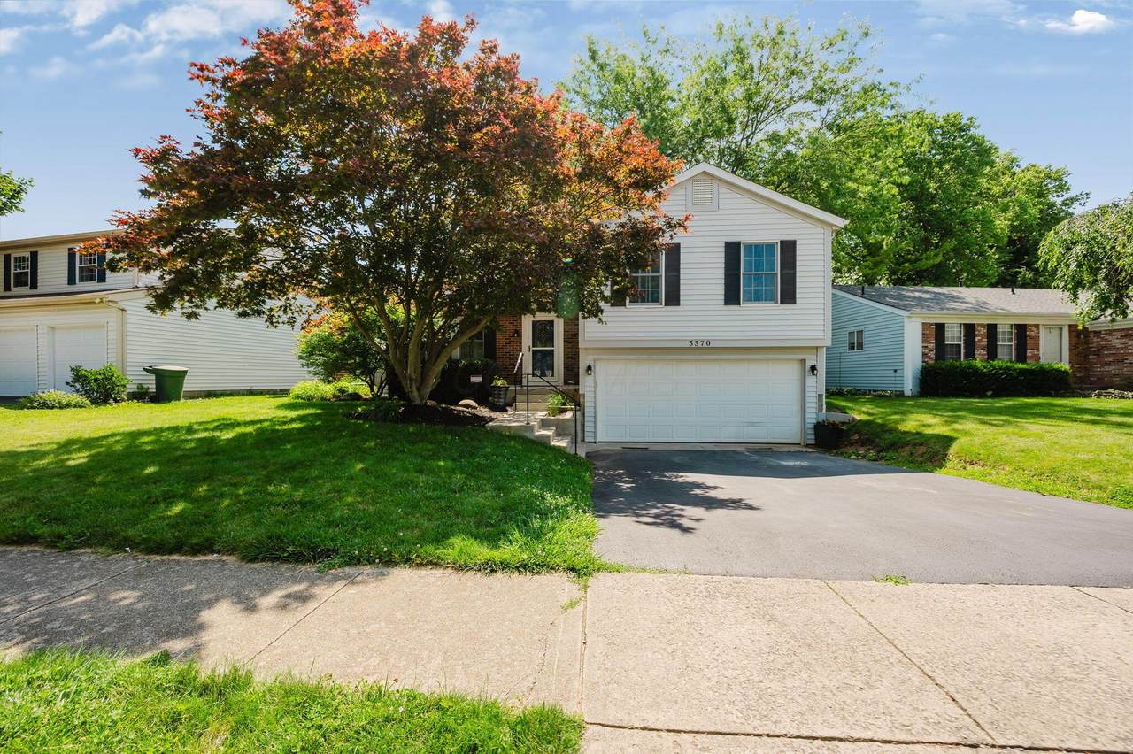 5570 Shannon Heights Boulevard - Photo 1