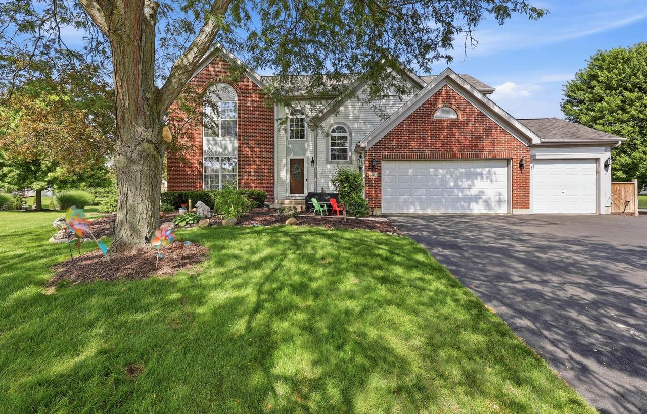 6702 Merino Court - Photo 1