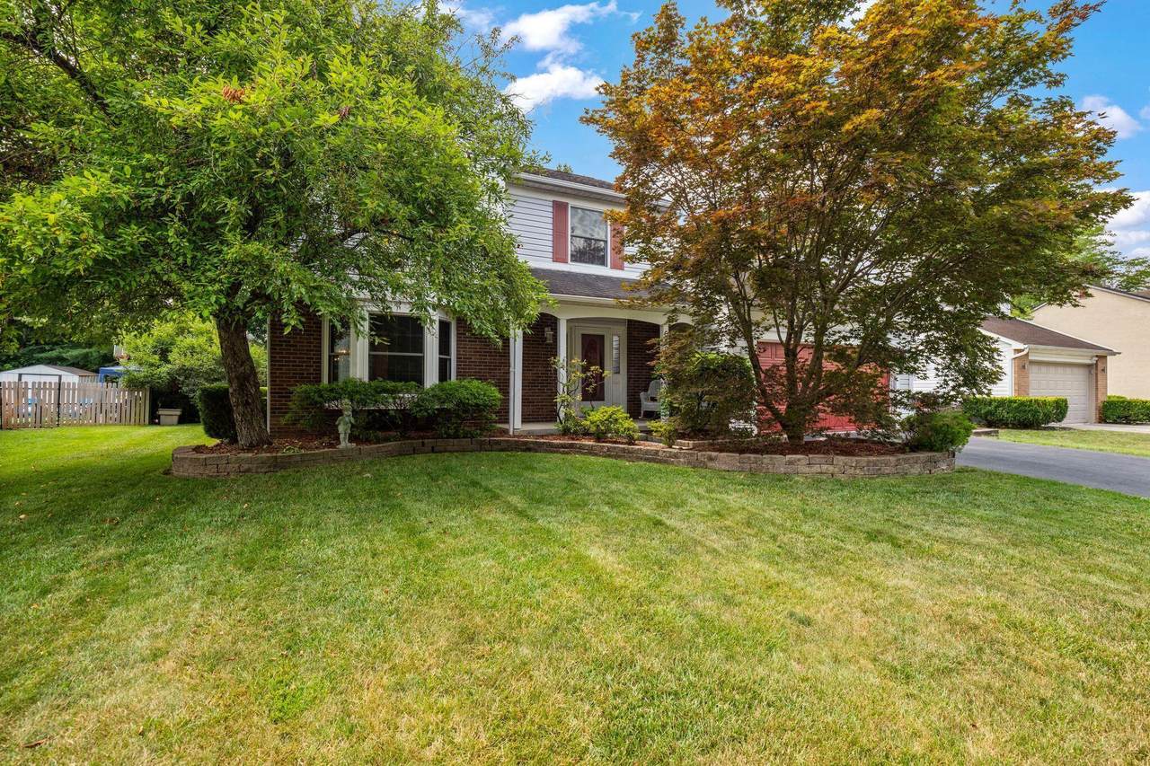 6599 Forrester Way - Photo 1