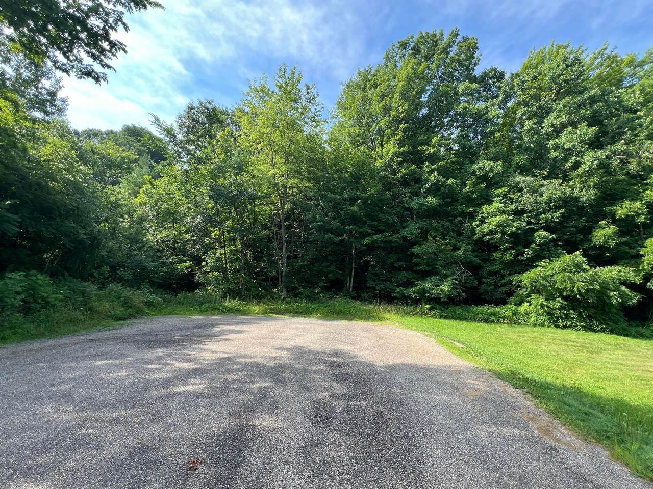 0 Ileen Drive - Photo 1