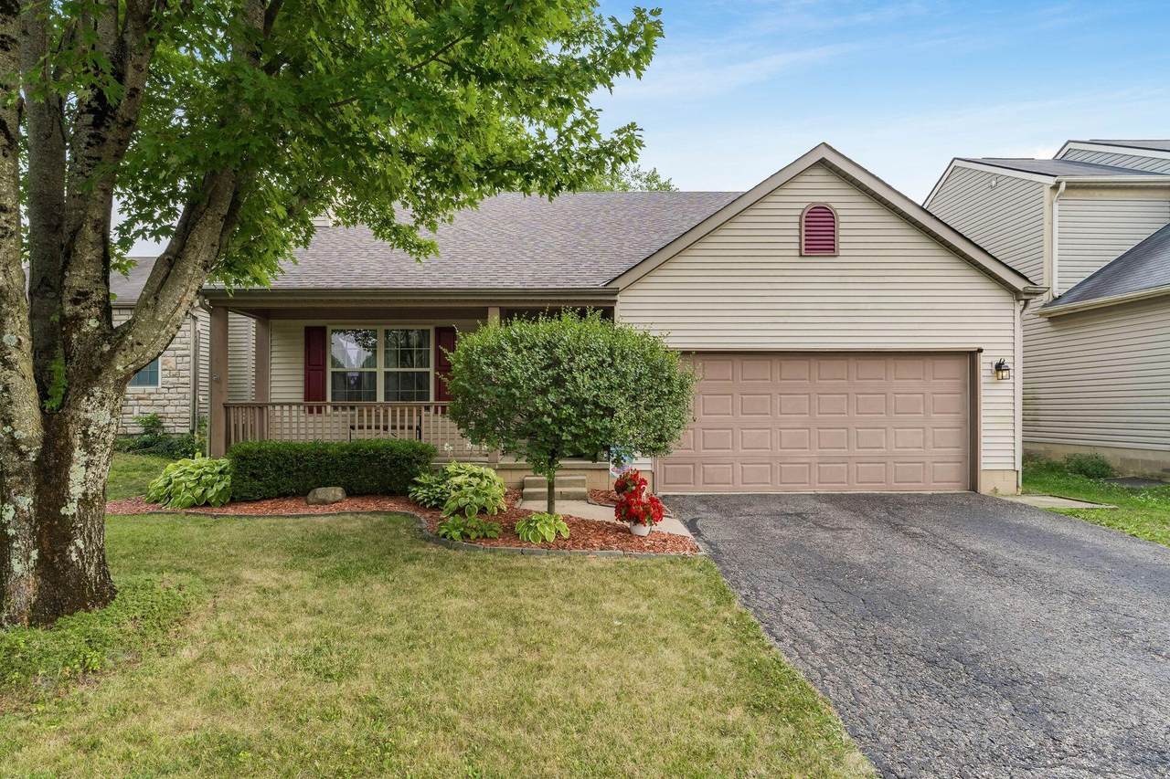 8107 Crete Lane - Photo 1
