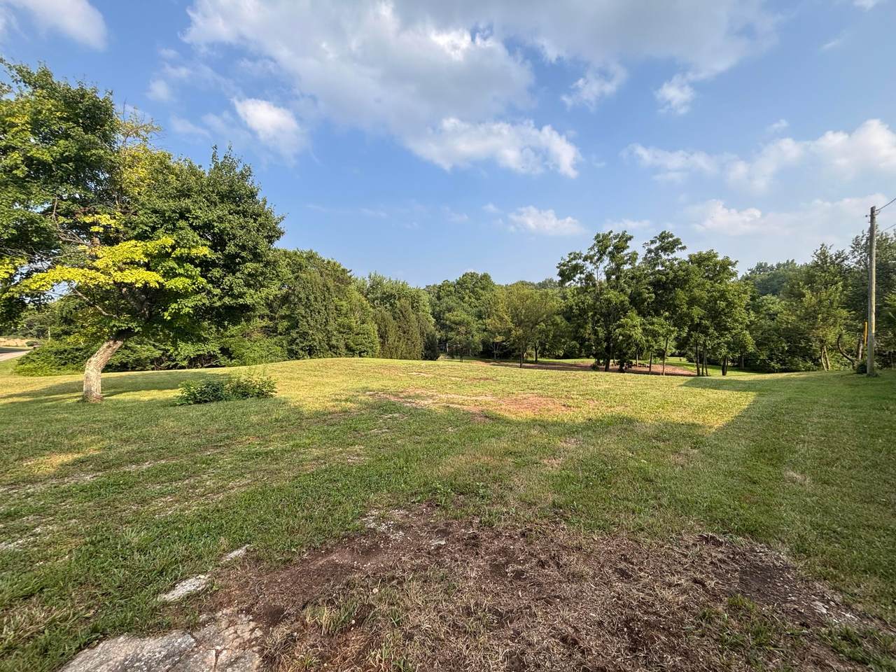 7067 Hagerty Road - Photo 1