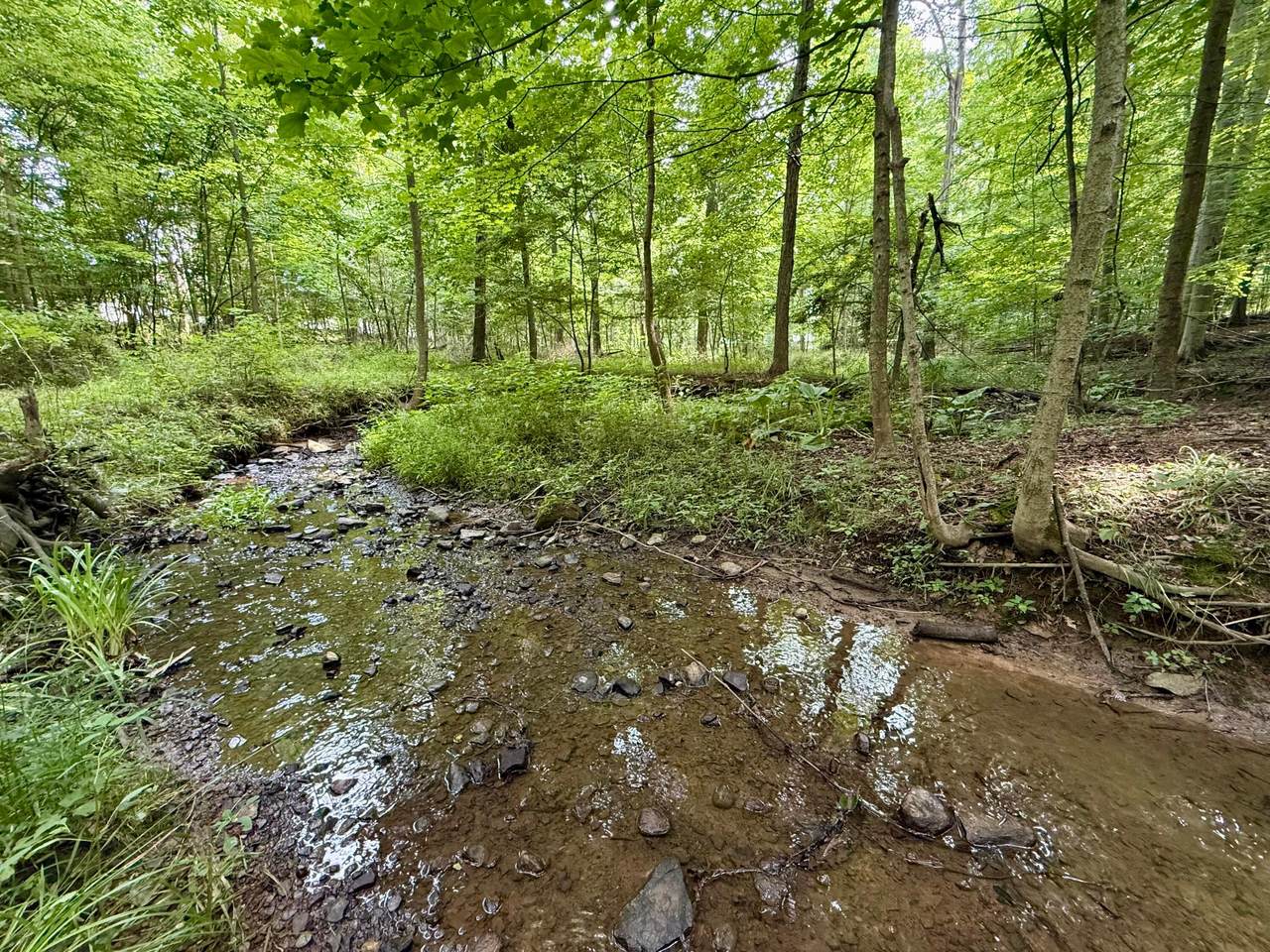 https://bt-photos.global.ssl.fastly.net/columbus/1280_boomver_1_226027797-2.jpg