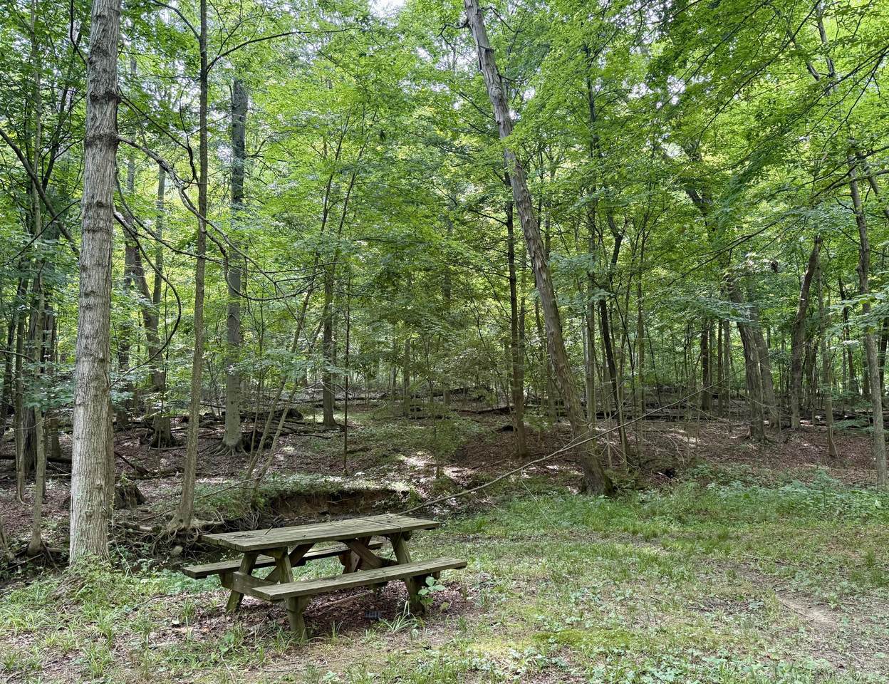 https://bt-photos.global.ssl.fastly.net/columbus/1280_boomver_1_226027797-2.jpg