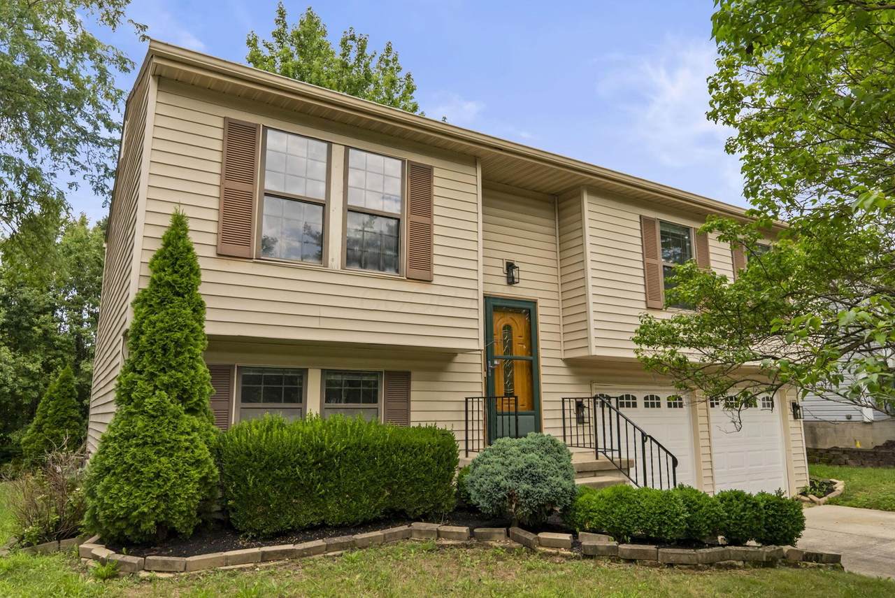 6940 Finchley Drive - Photo 1