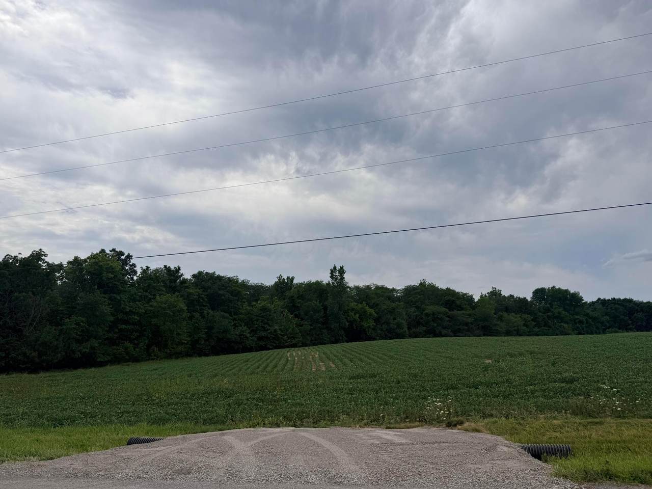 27775 Claibourne Road - Photo 1