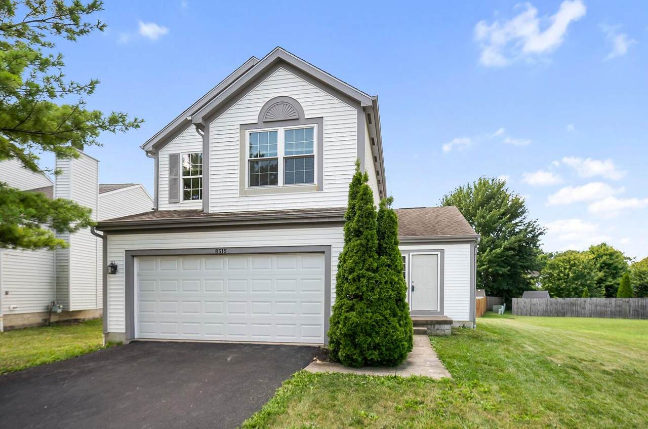 8515 Old Ivory Way - Photo 1