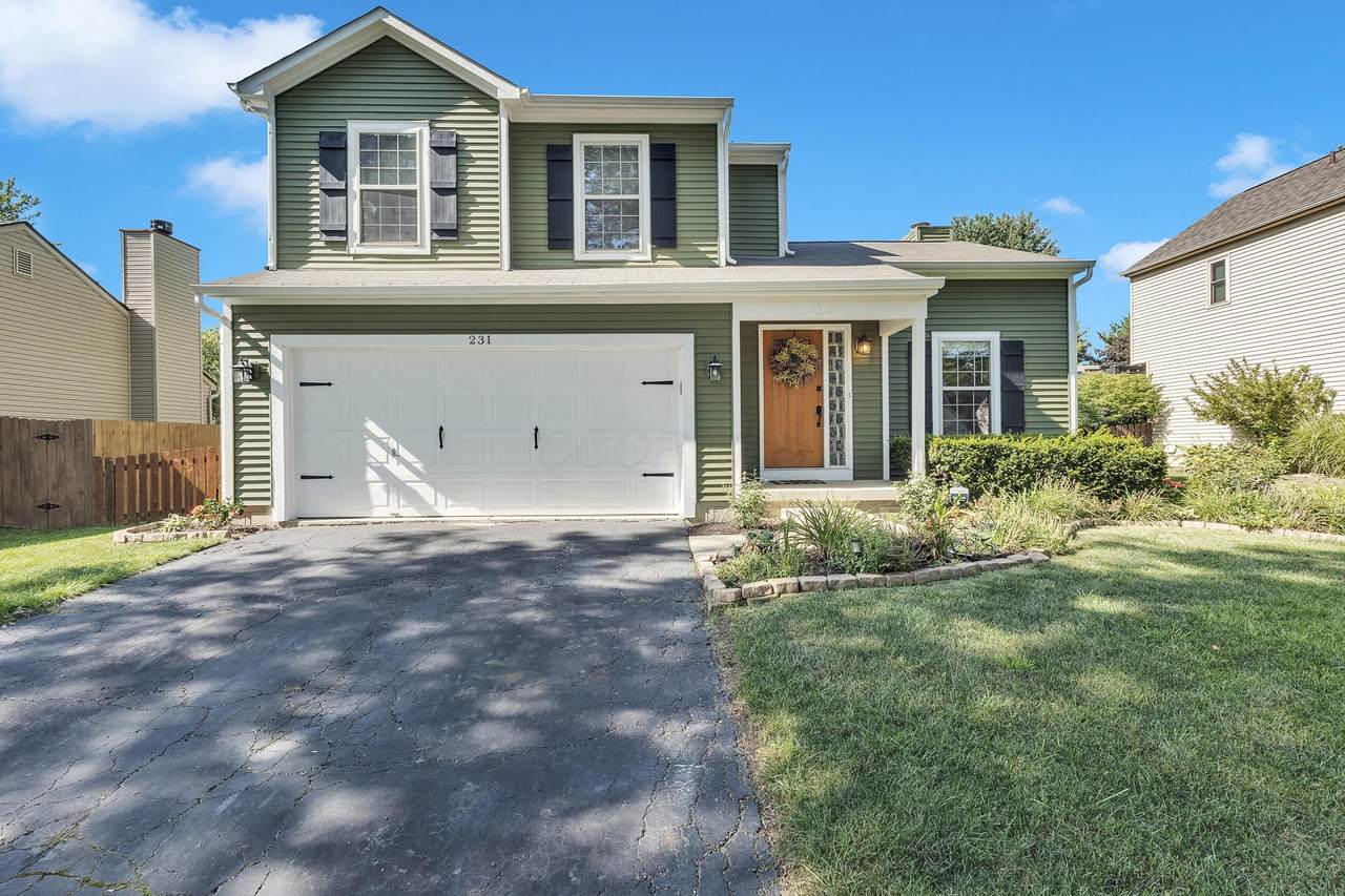 231 Stonemast Loop - Photo 1