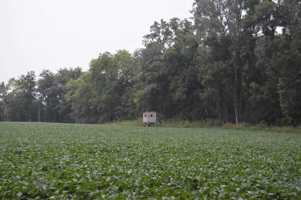 https://bt-photos.global.ssl.fastly.net/columbus/1280_boomver_1_226028690-2.jpg