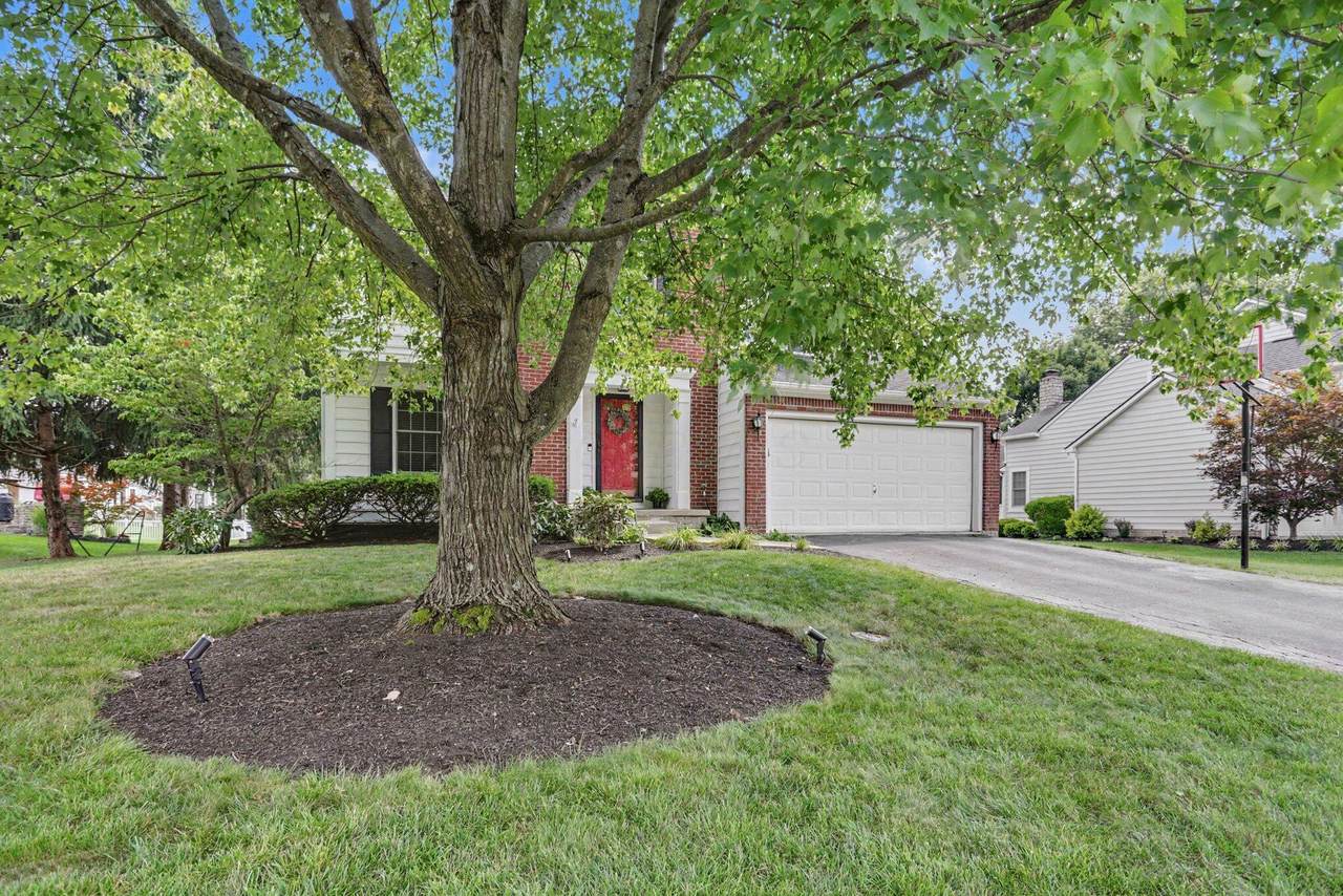 6470 Hermitage Drive - Photo 1