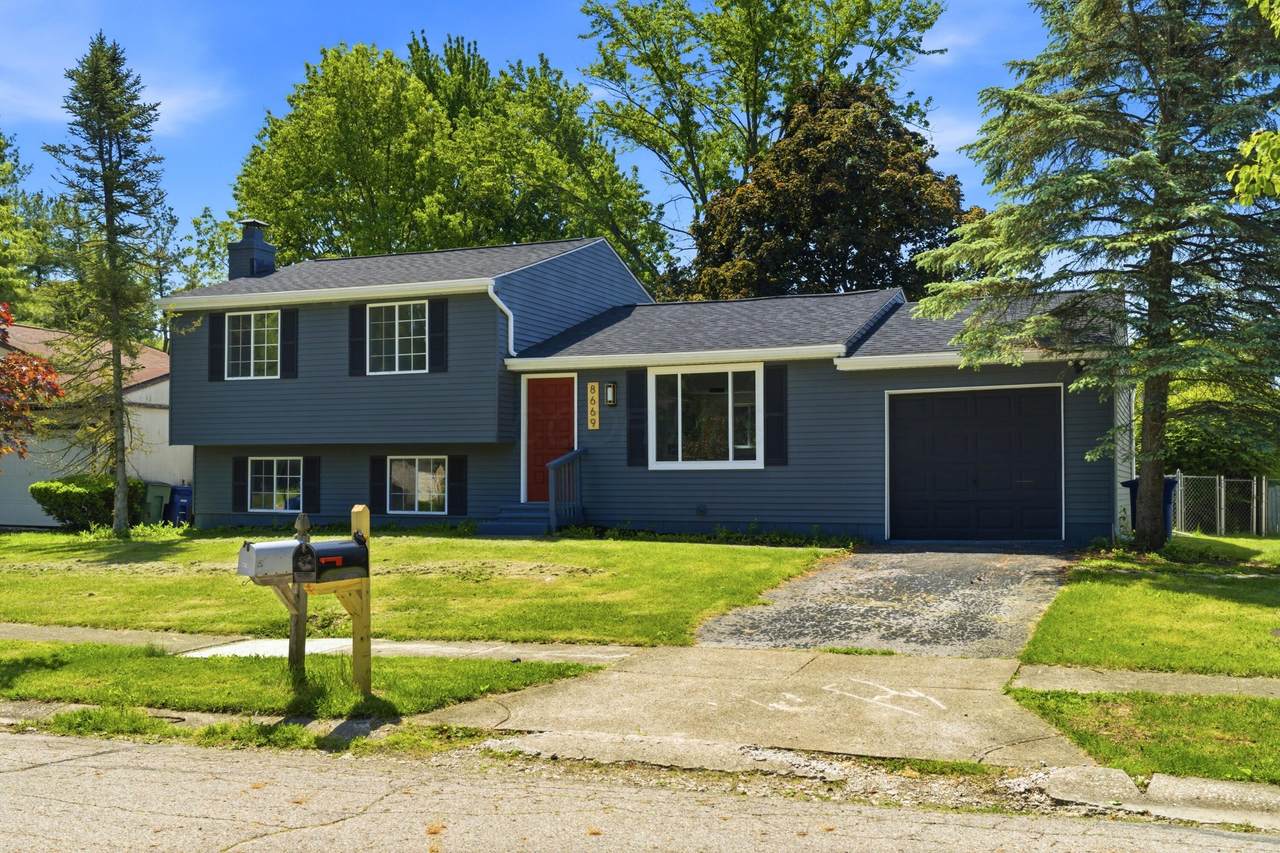 8669 Ripton Drive - Photo 1