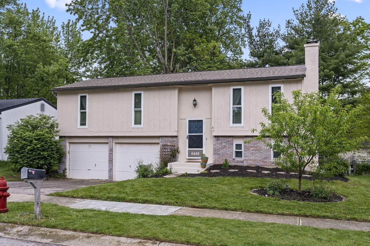 6488 Woodthrush Drive - Photo 1