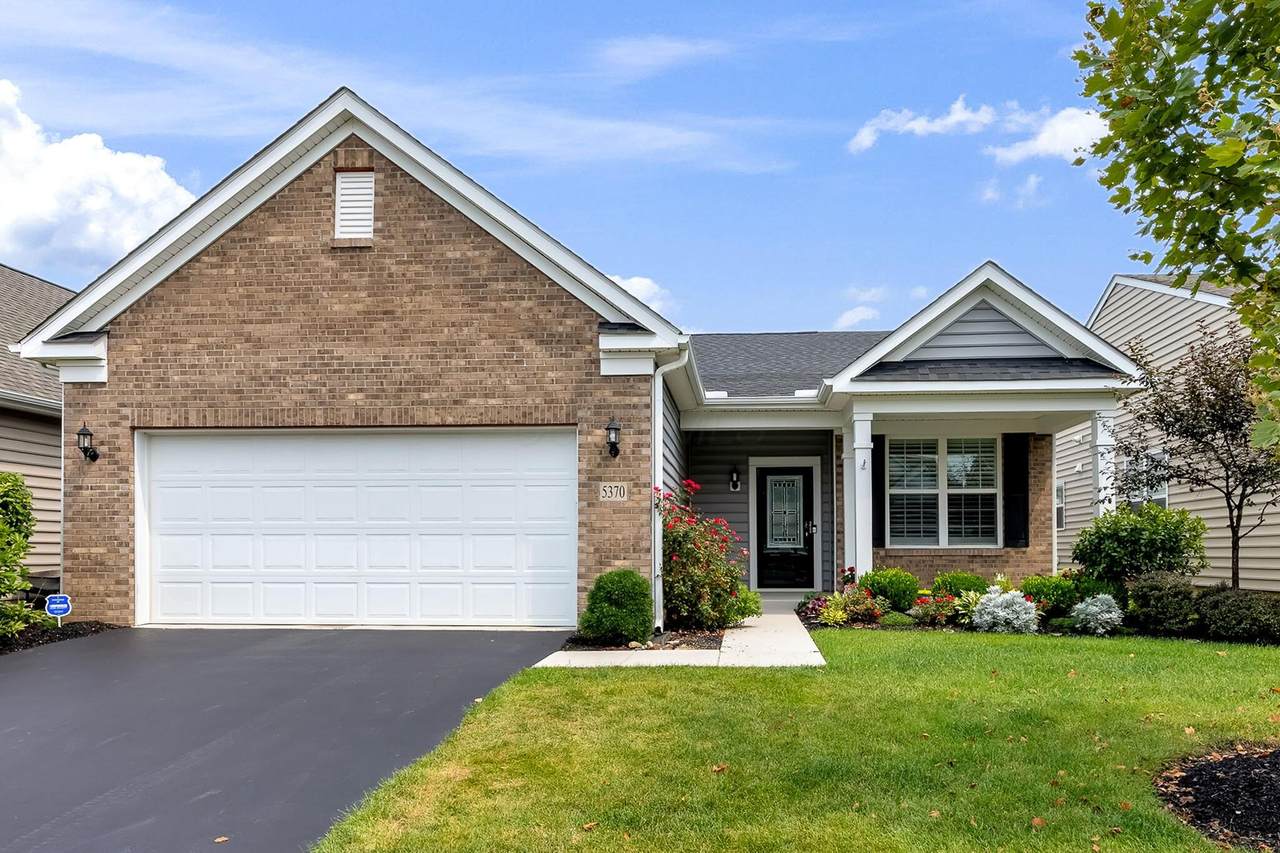 5370 Black Maple Drive - Photo 1