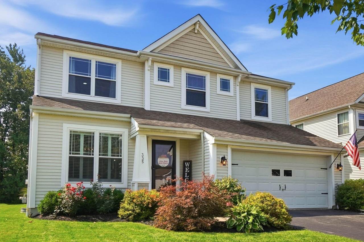 335 Shellbark - Photo 1