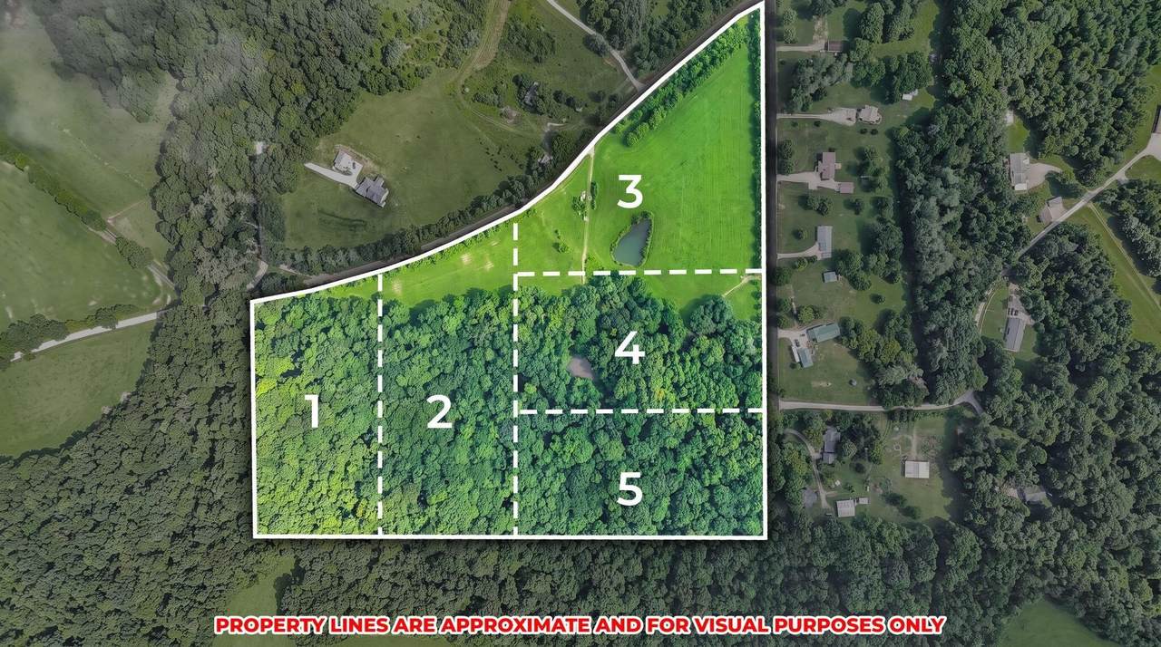 00-LOT 2 Clay Hill Road - Photo 1