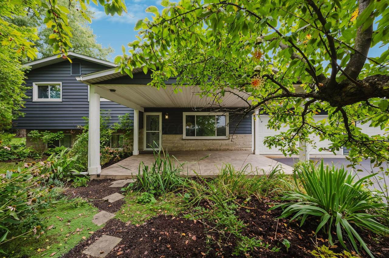 3675 Mink Street - Photo 1
