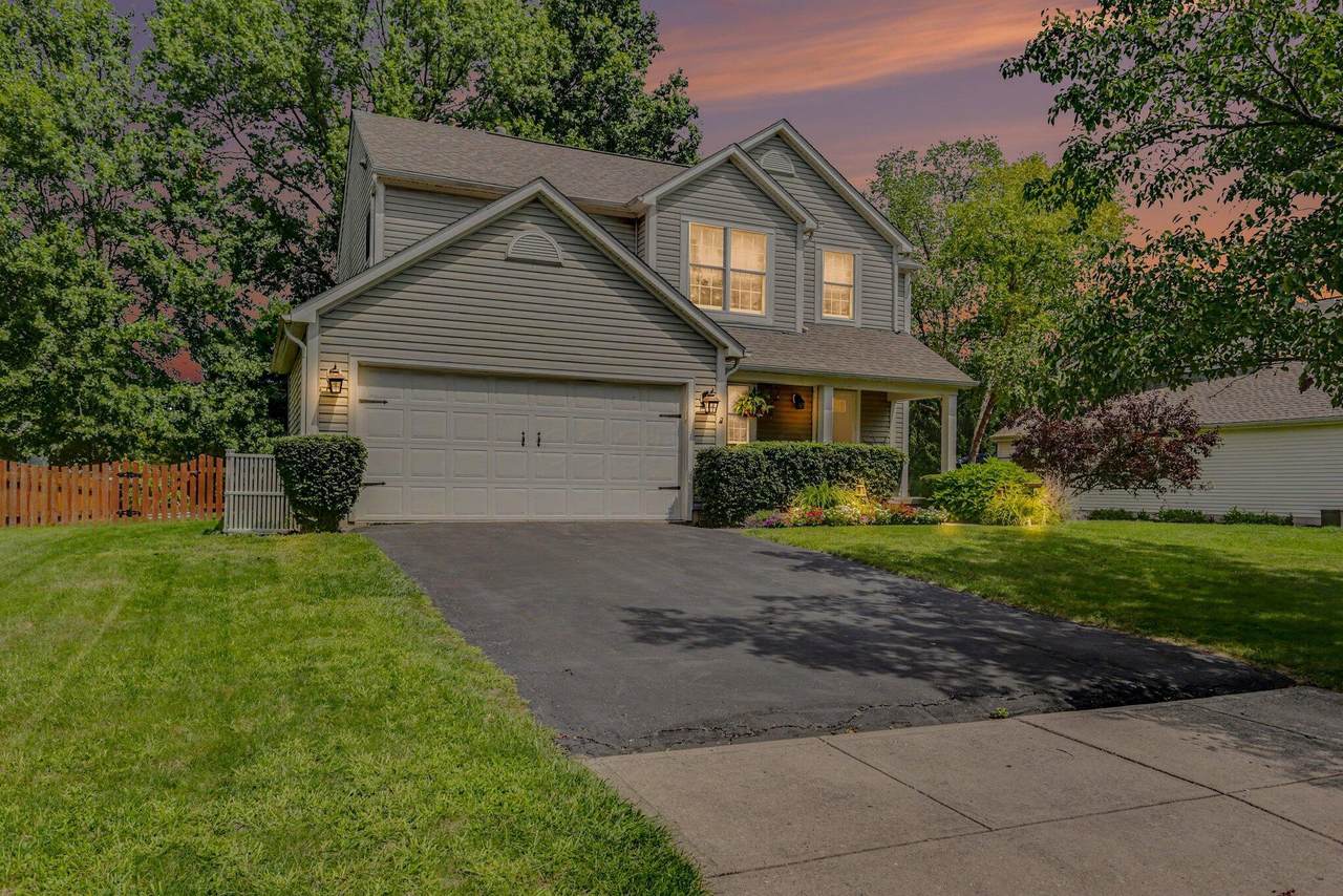 6891 Olga Court - Photo 1