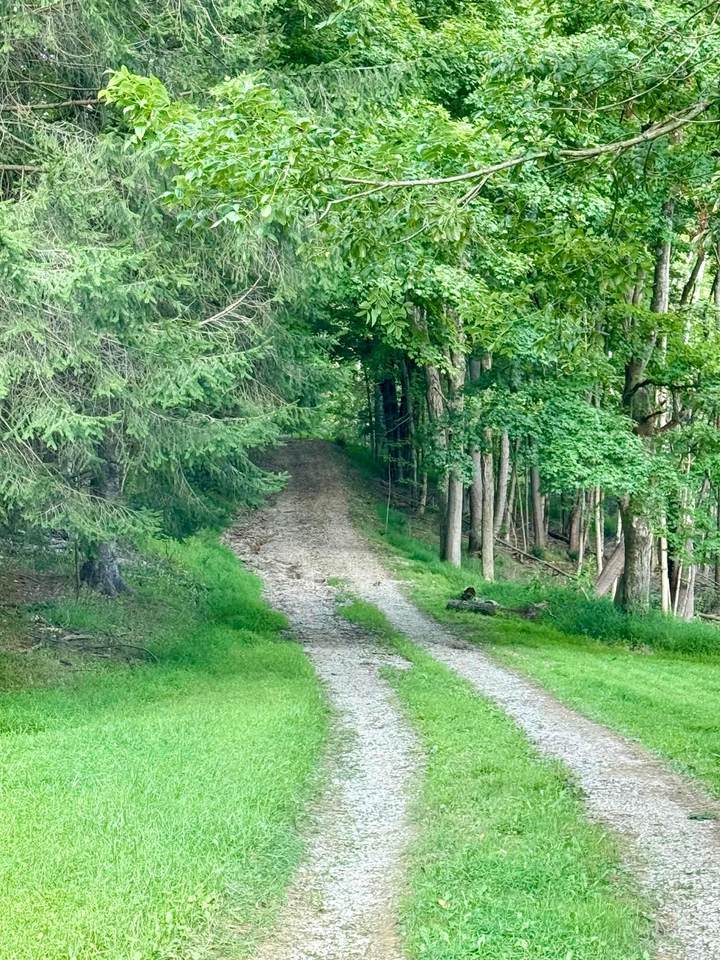 9898 Fallsburg Road - Photo 1