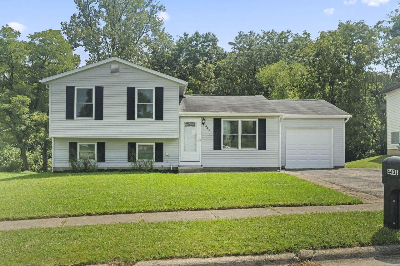 4431 Hickory Wood Drive - Photo 1