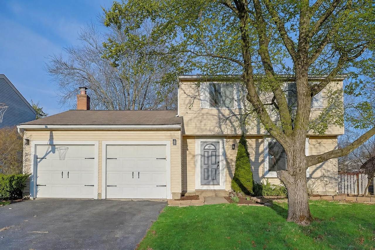 8727 Winooski Street - Photo 1