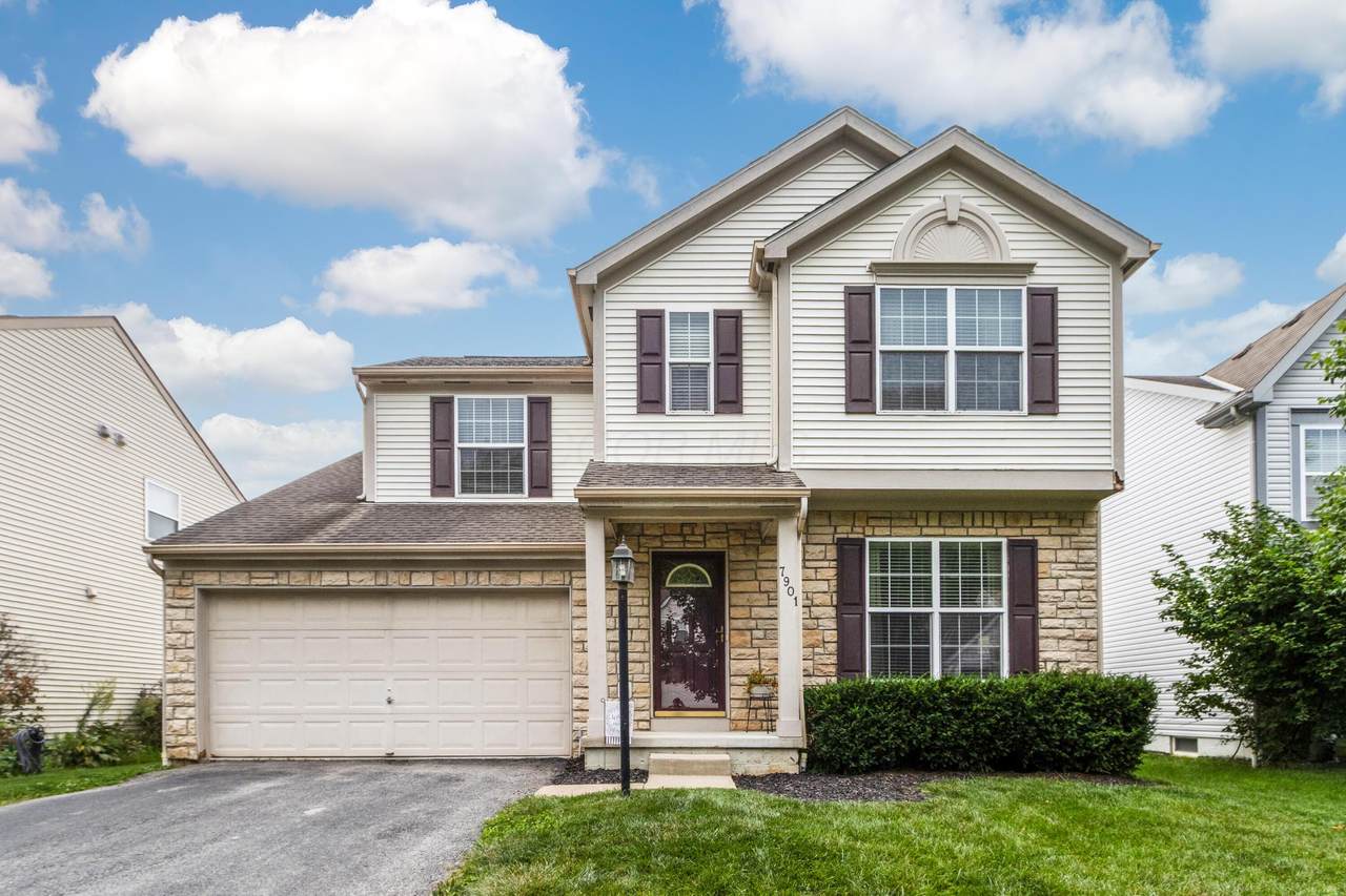7901 Blacklick View Drive - Photo 1
