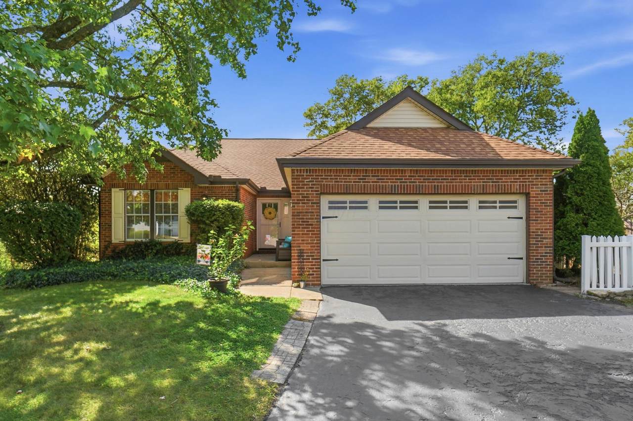 5952 Ginseng Court - Photo 1