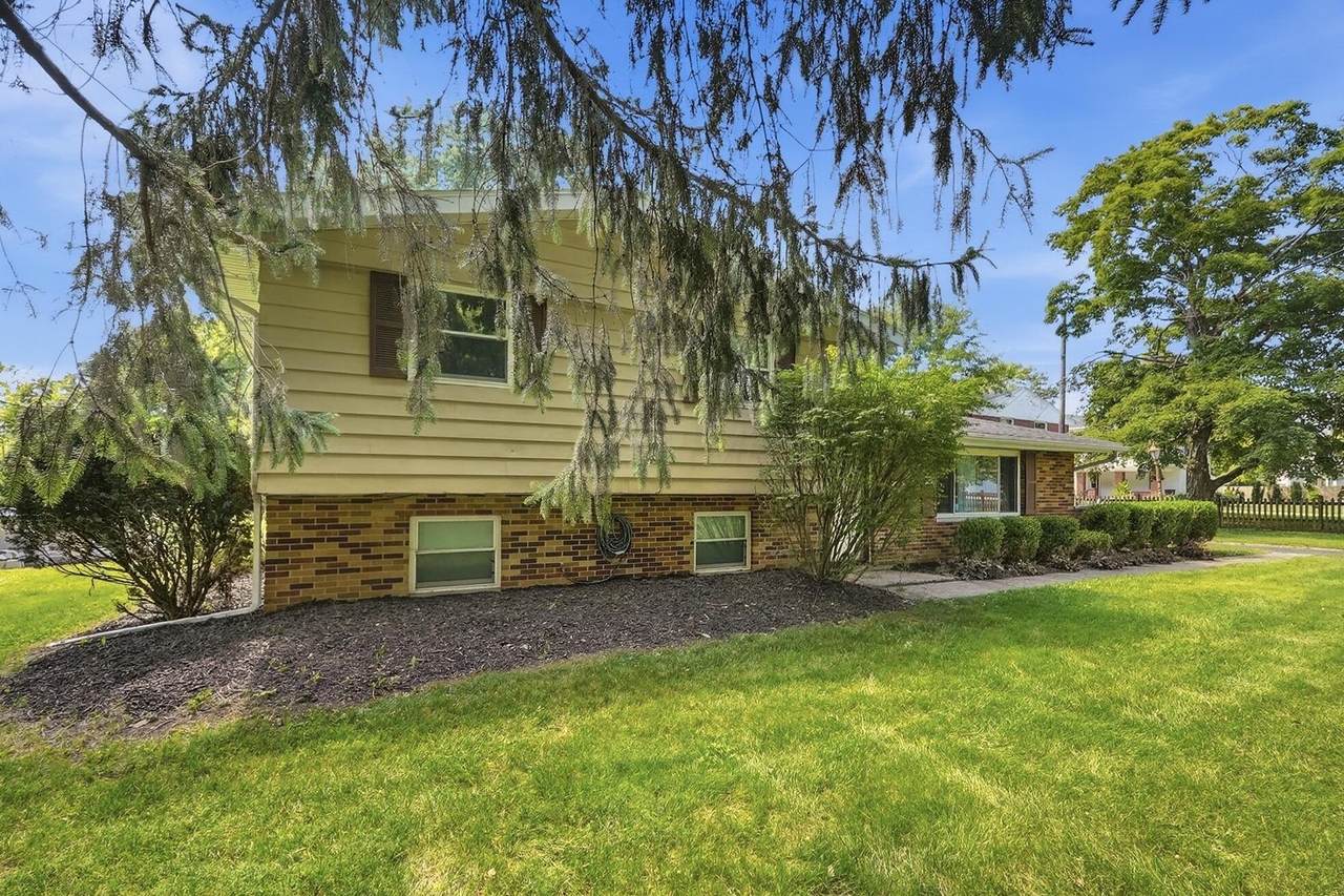 3789 New Carlisle Pike - Photo 1