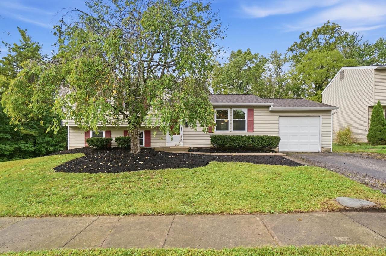 6567 Skywae Drive - Photo 1