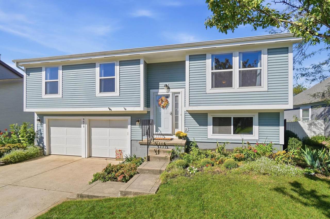8650 Cadet Drive - Photo 1