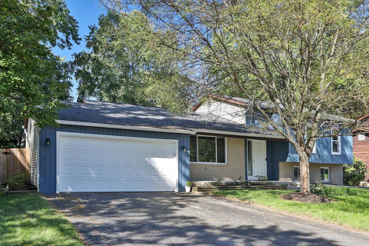 487 Theori Avenue - Photo 1