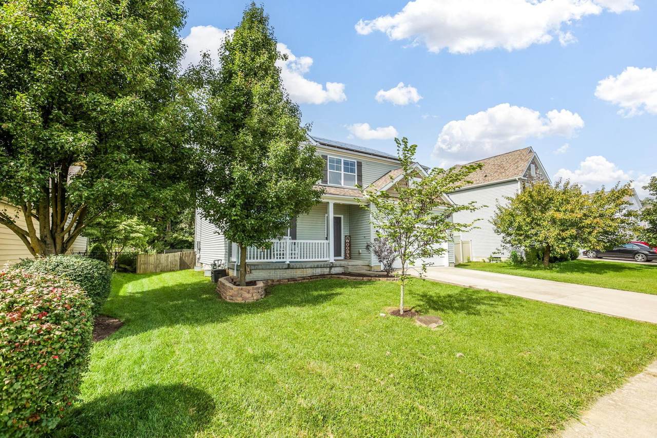 9094 Jackies Bend - Photo 1
