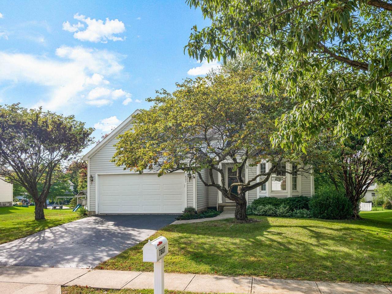 7807 Williamson Lane - Photo 1