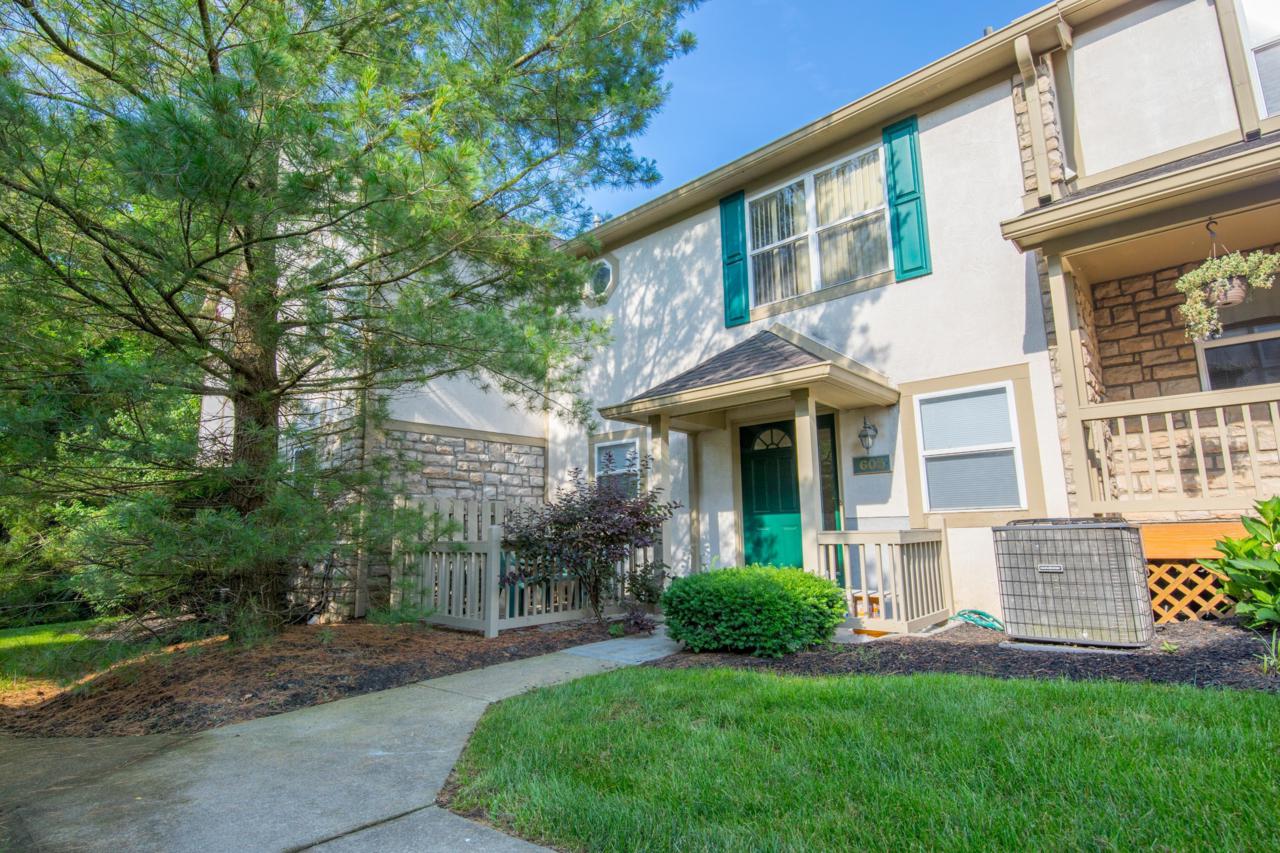 603 Olentangy Woods Drive - Photo 1
