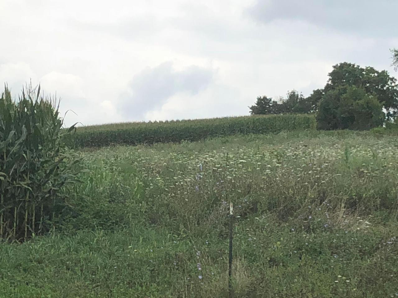 0 Kingston Whisler Road - Photo 1