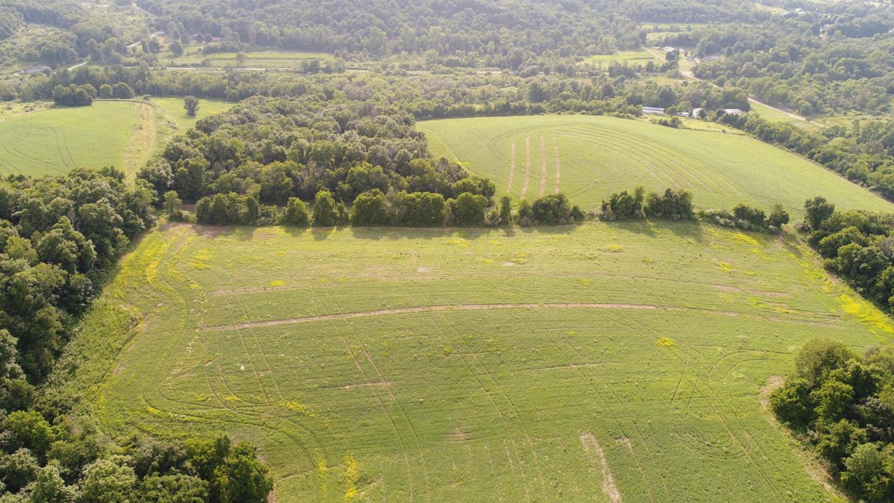 22920 County Road 17 - Photo 1