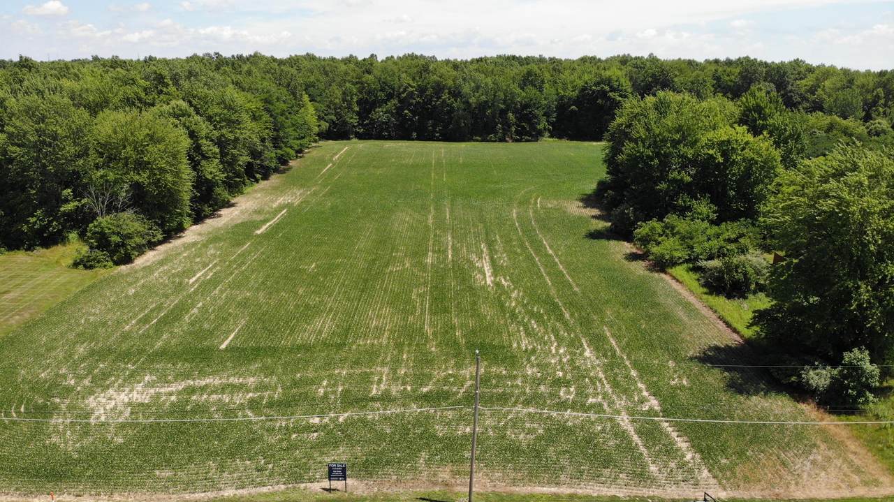 0 Babbitt Road - Photo 1