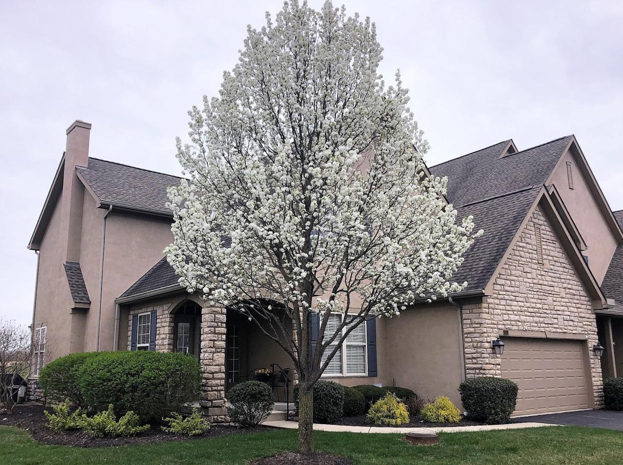 8161 Hillingdon Drive - Photo 1