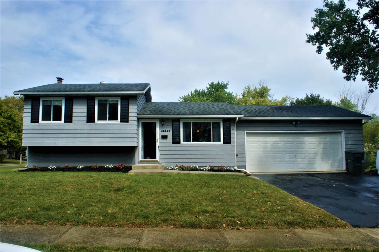 4966 Old Tree Avenue - Photo 1