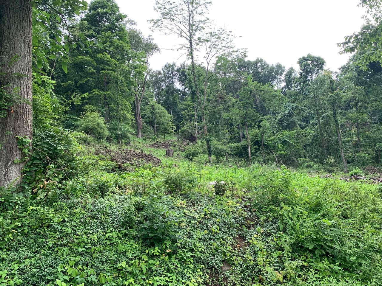 7138 Ballou Road - Photo 1